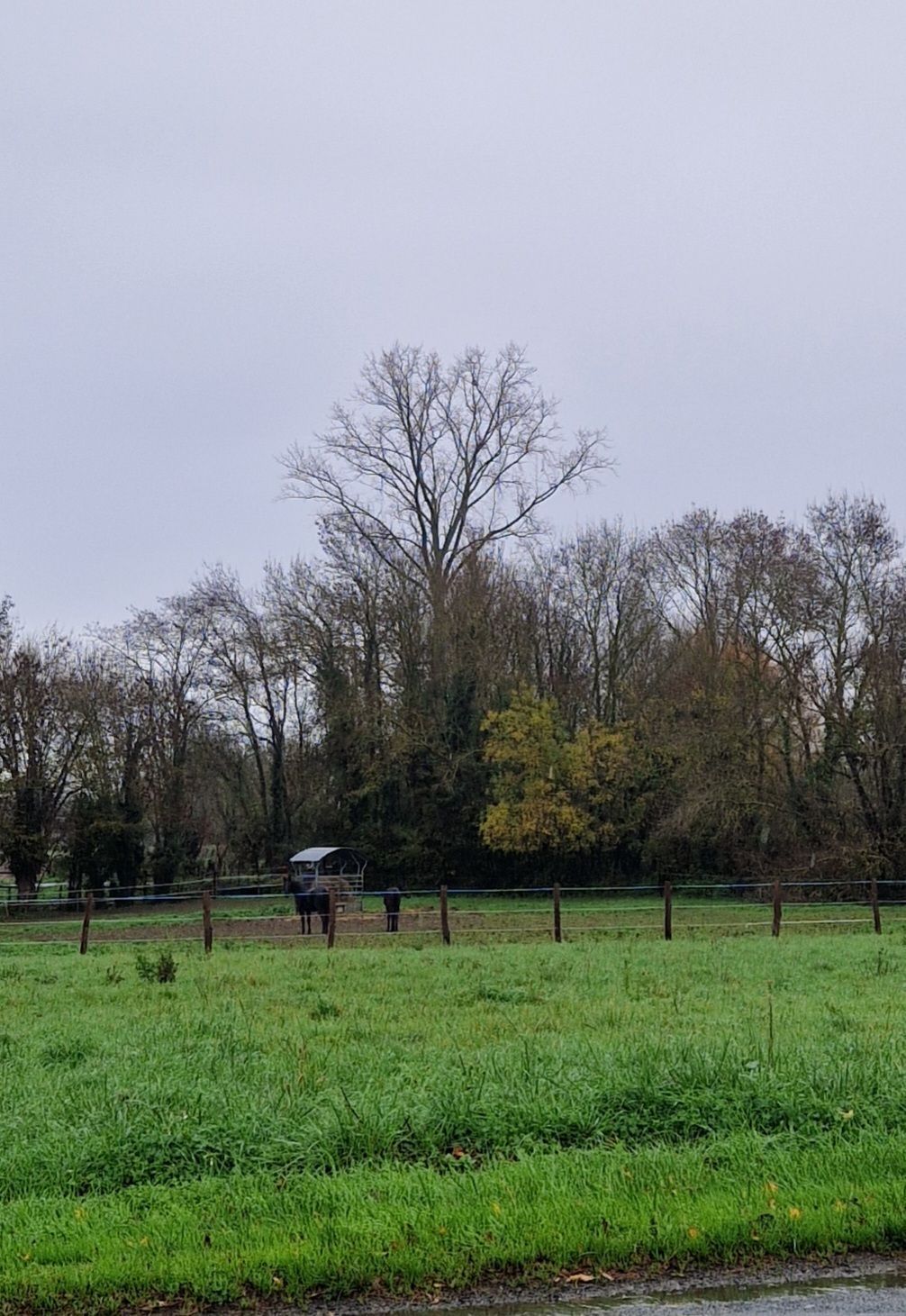 Photo du signalement #487