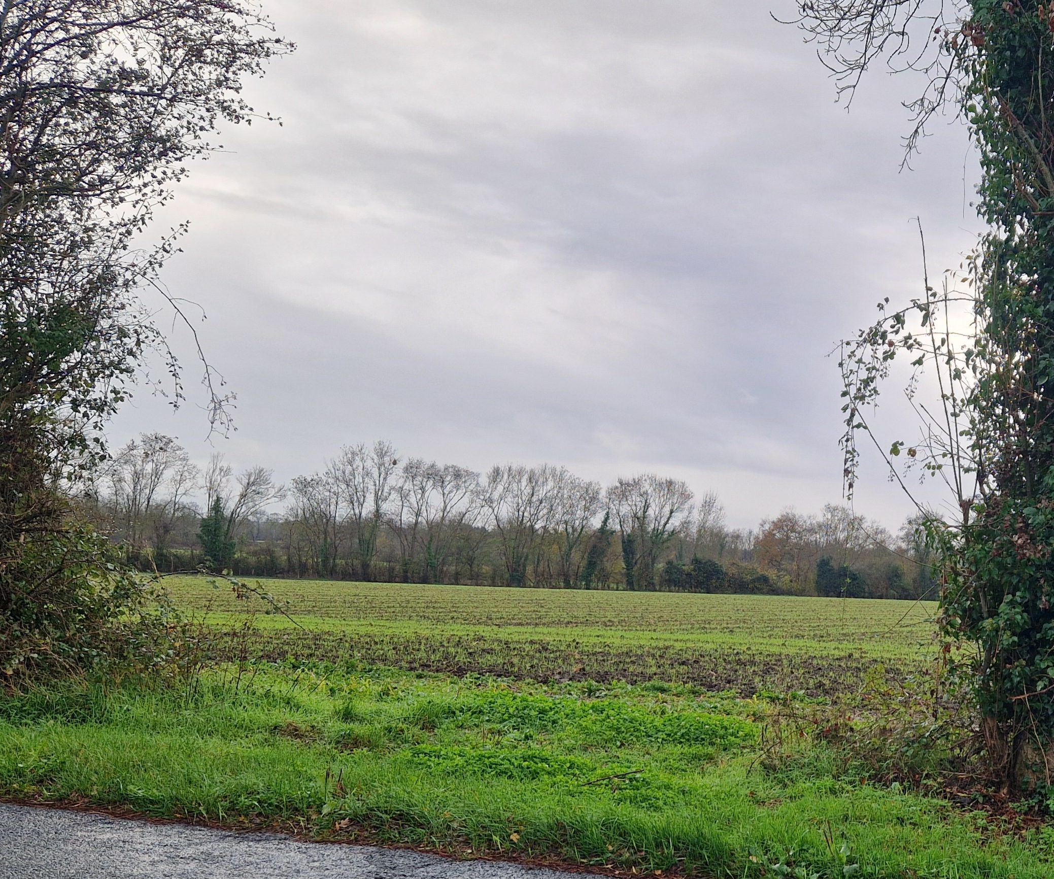 Photo du signalement #489