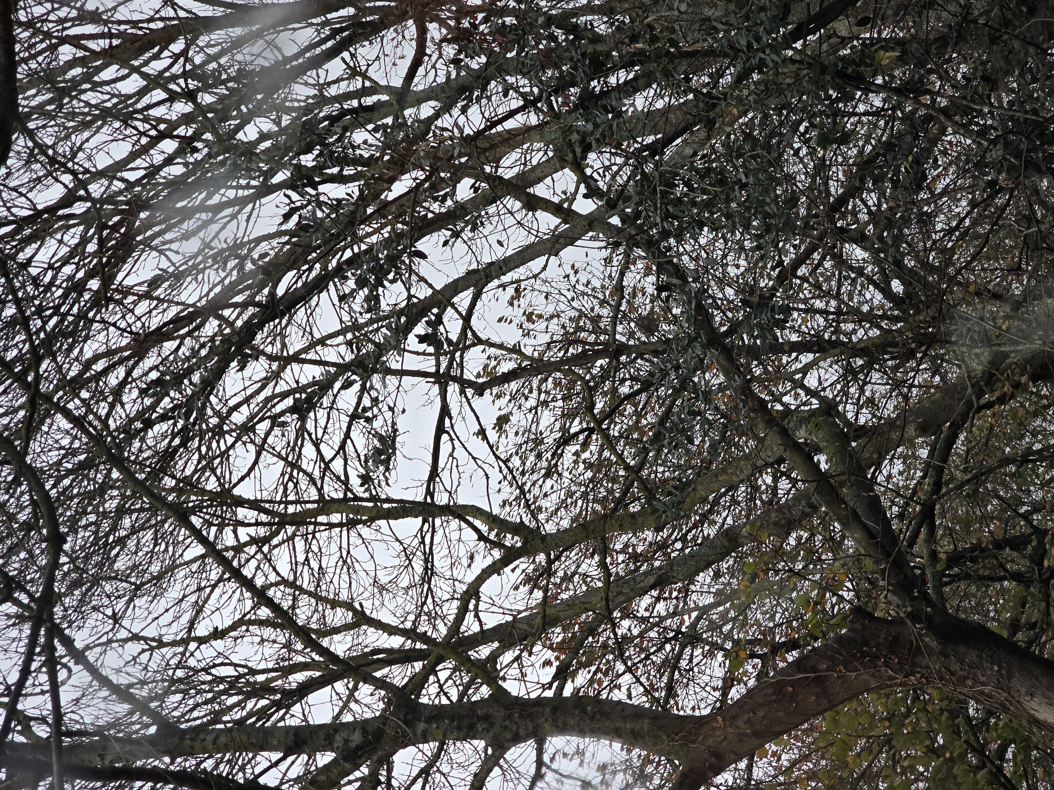 Photo du signalement #503