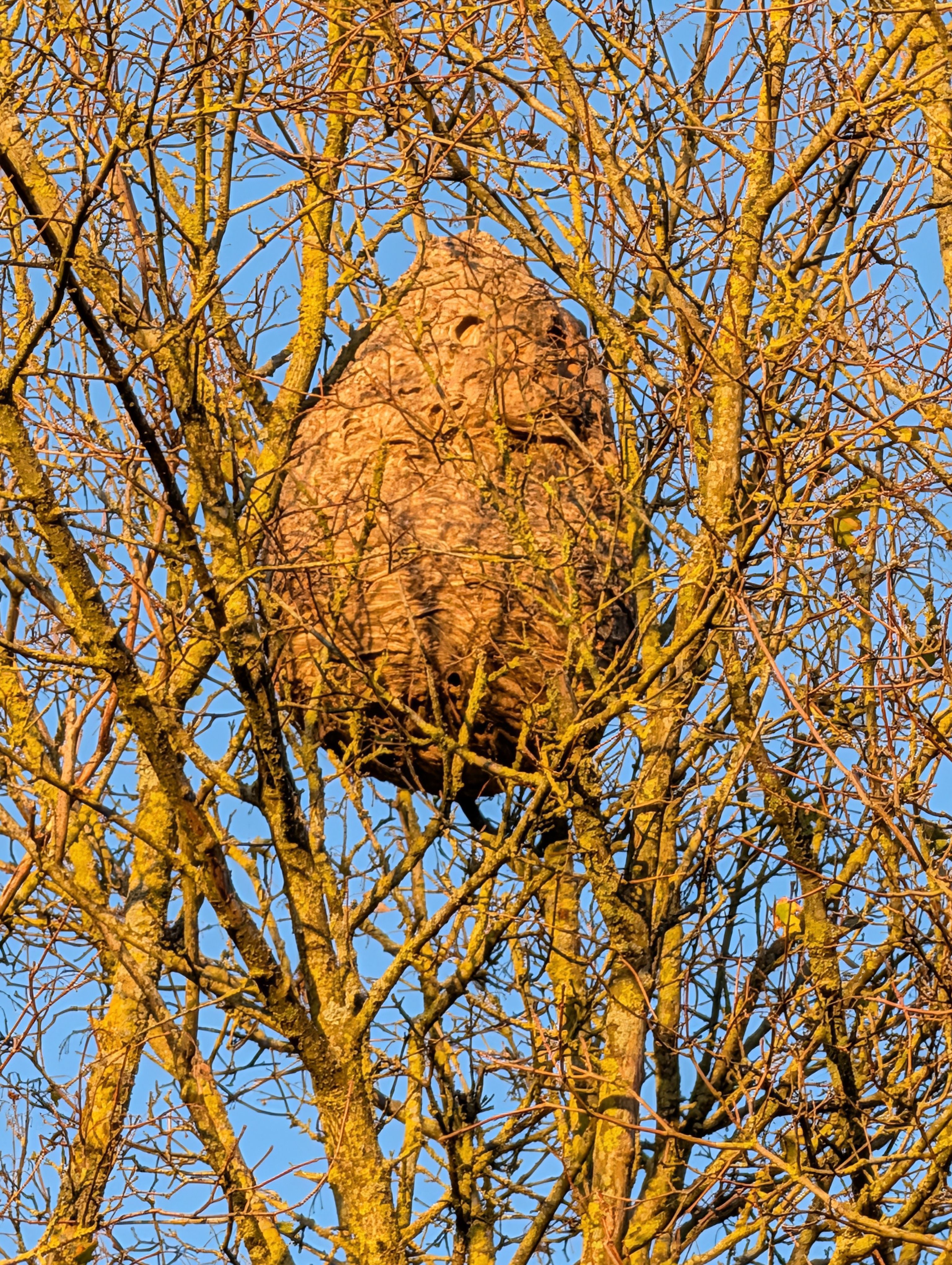 Photo du signalement #504