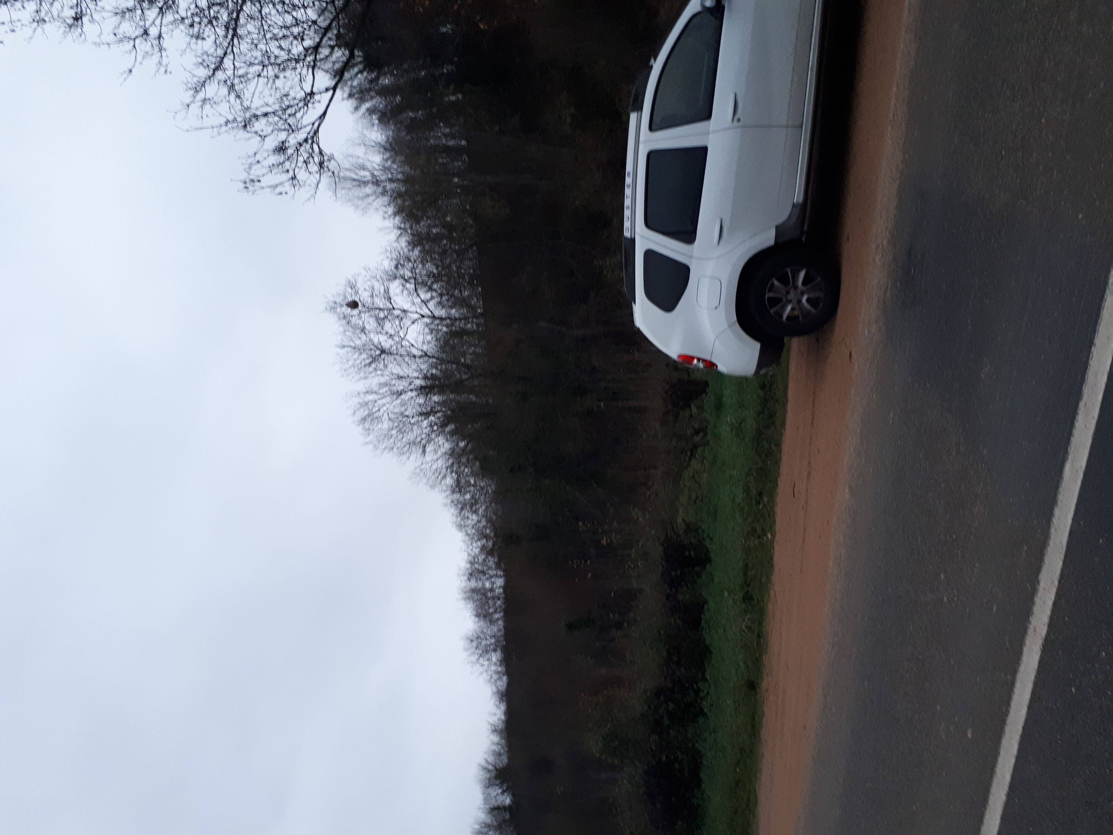 Photo du signalement #526