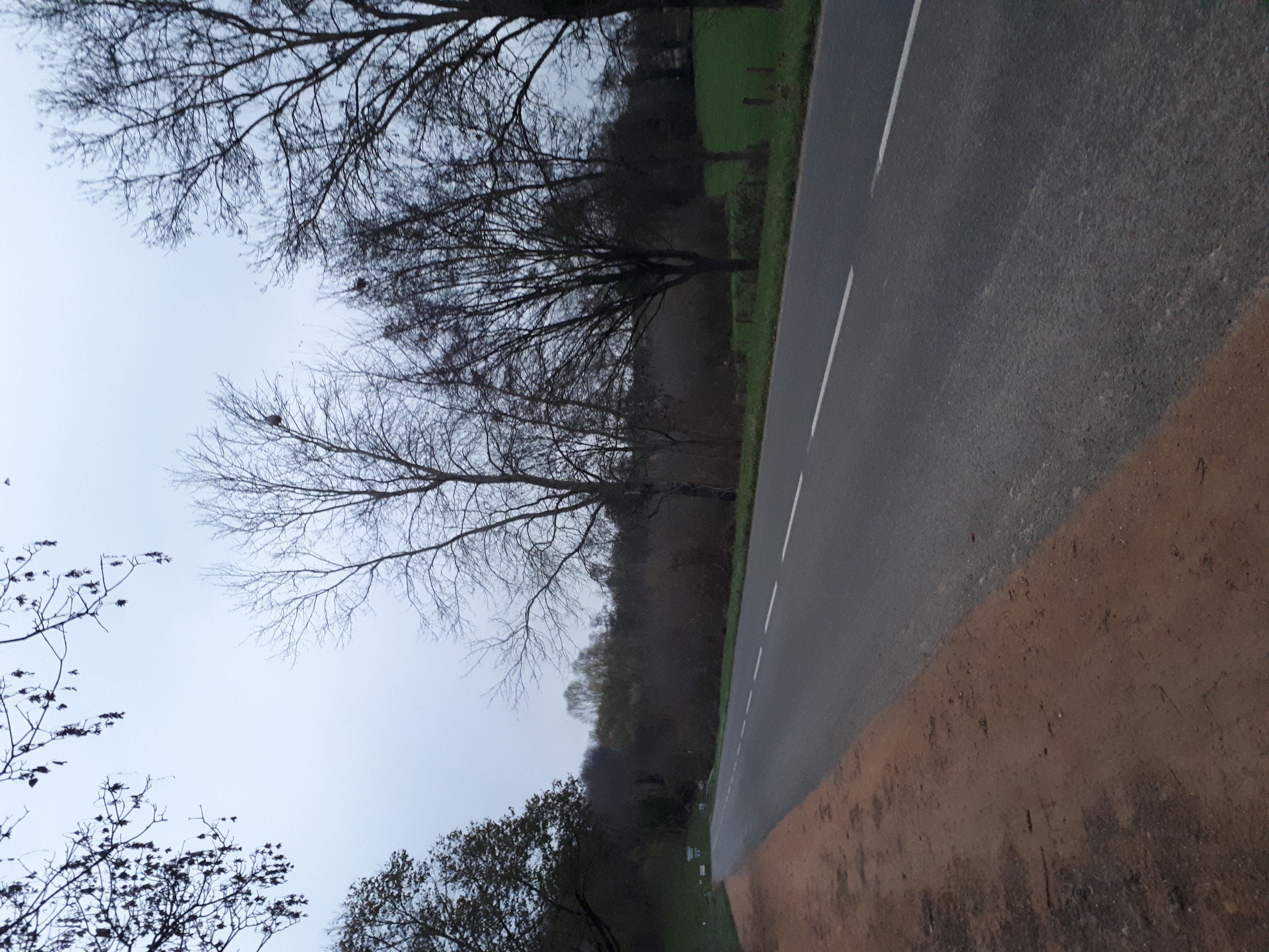 Photo du signalement #527