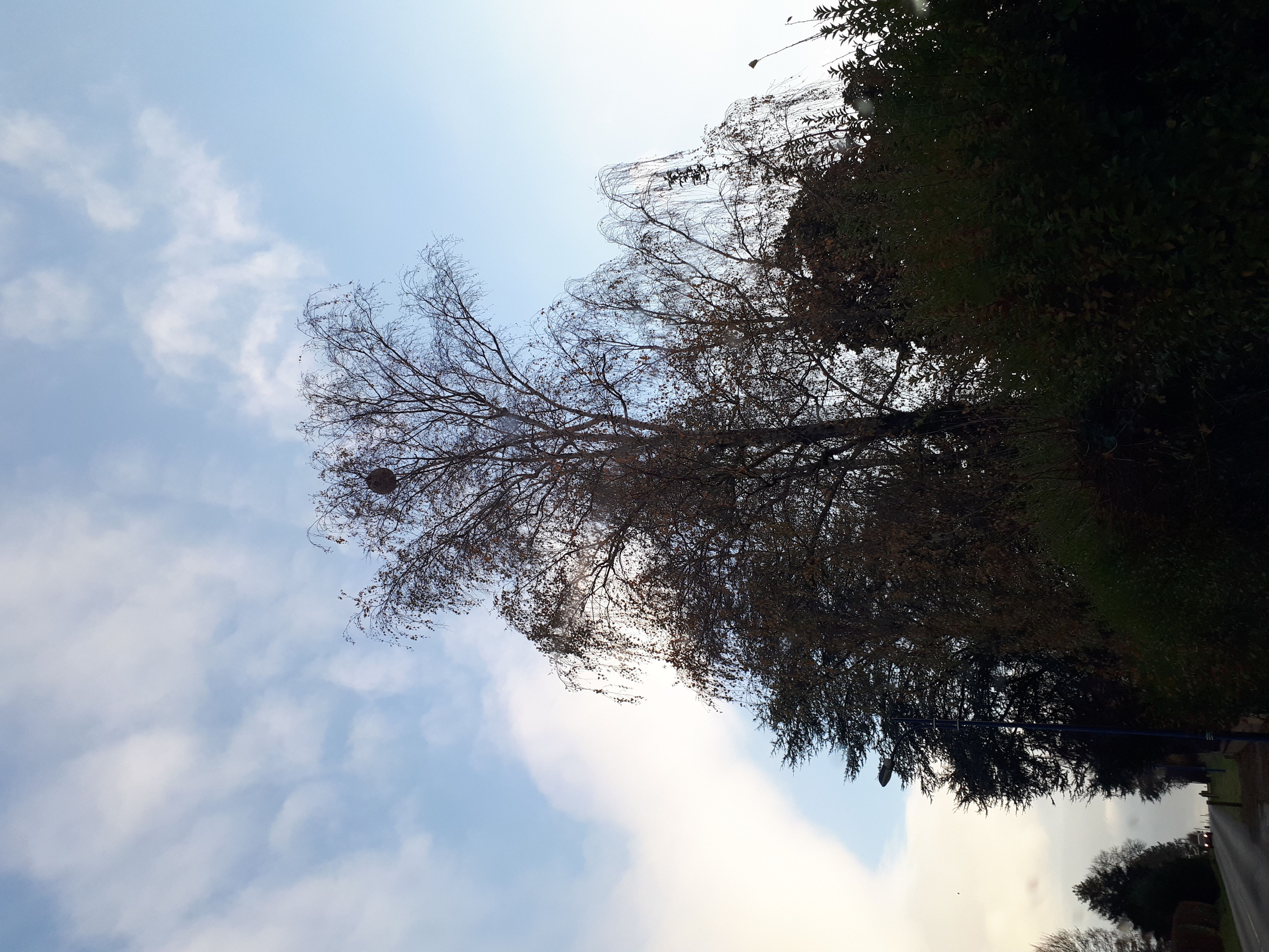 Photo du signalement #532