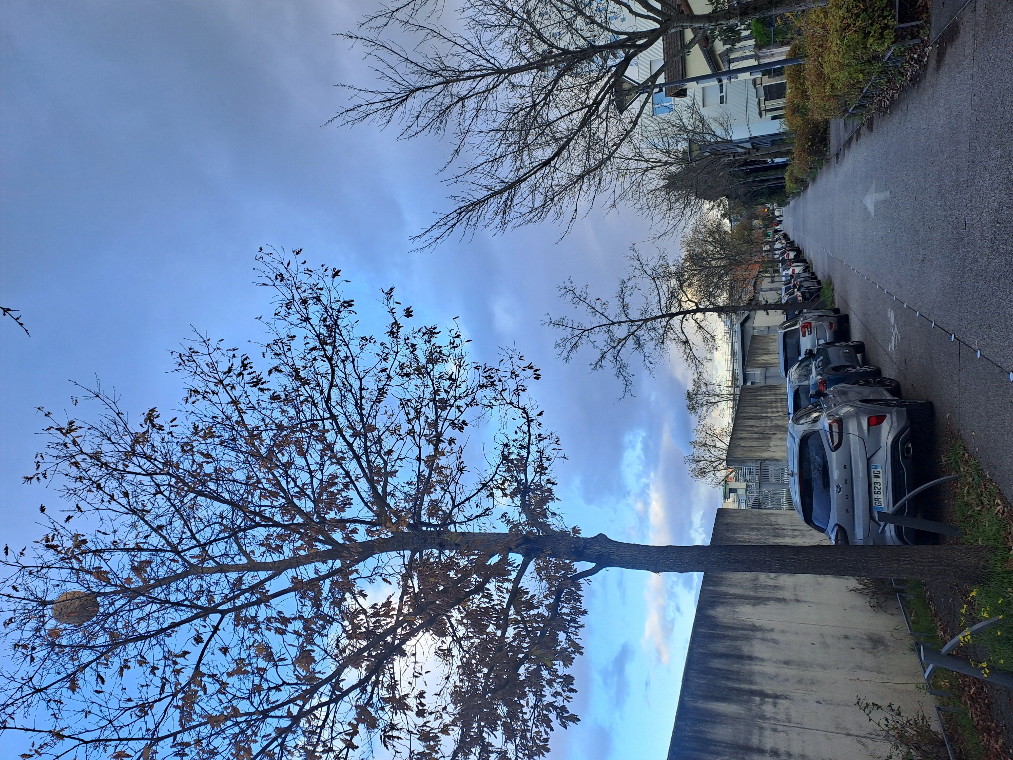 Photo du autre signalé à Villeurbanne