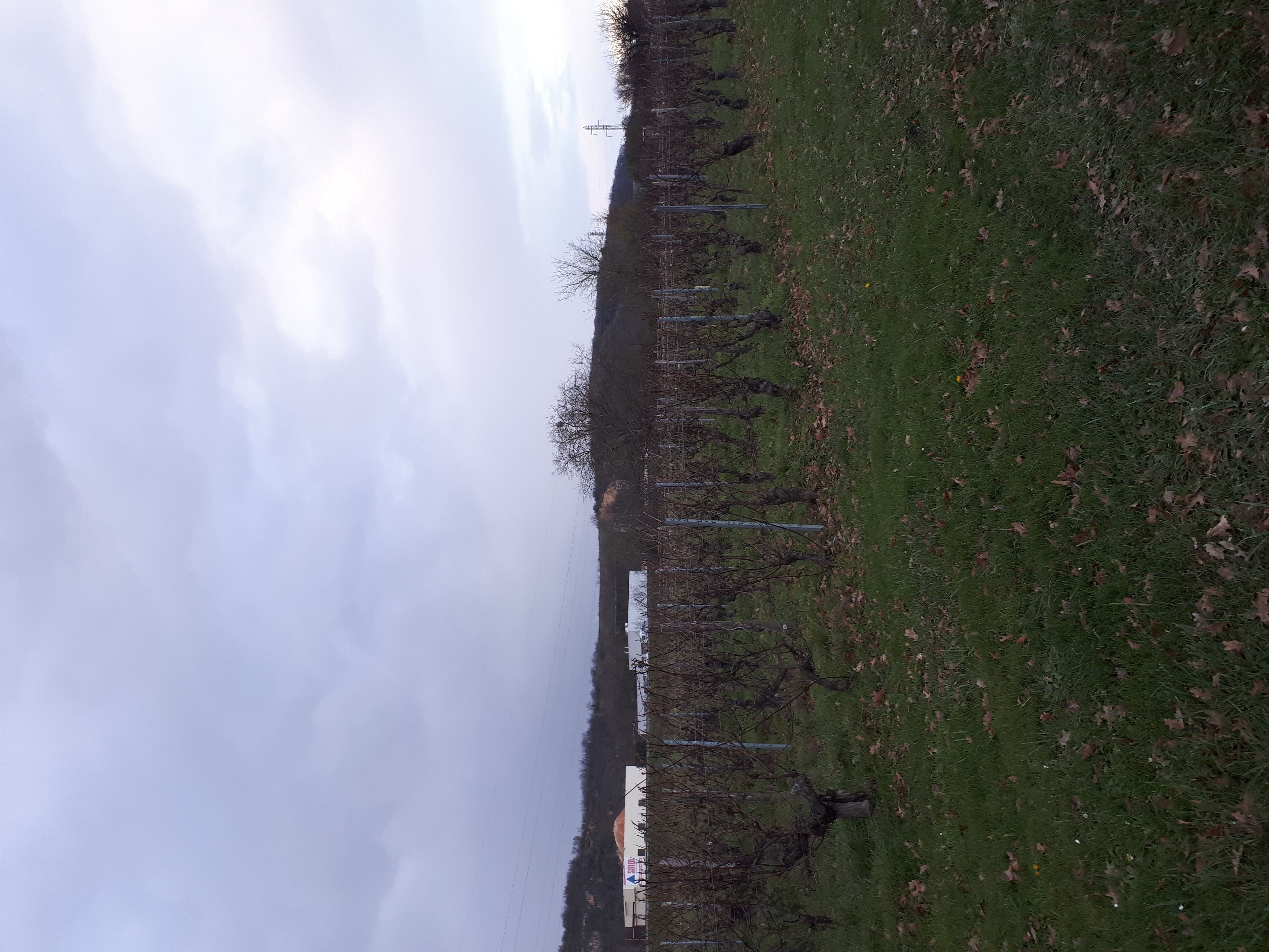 Photo du signalement #541