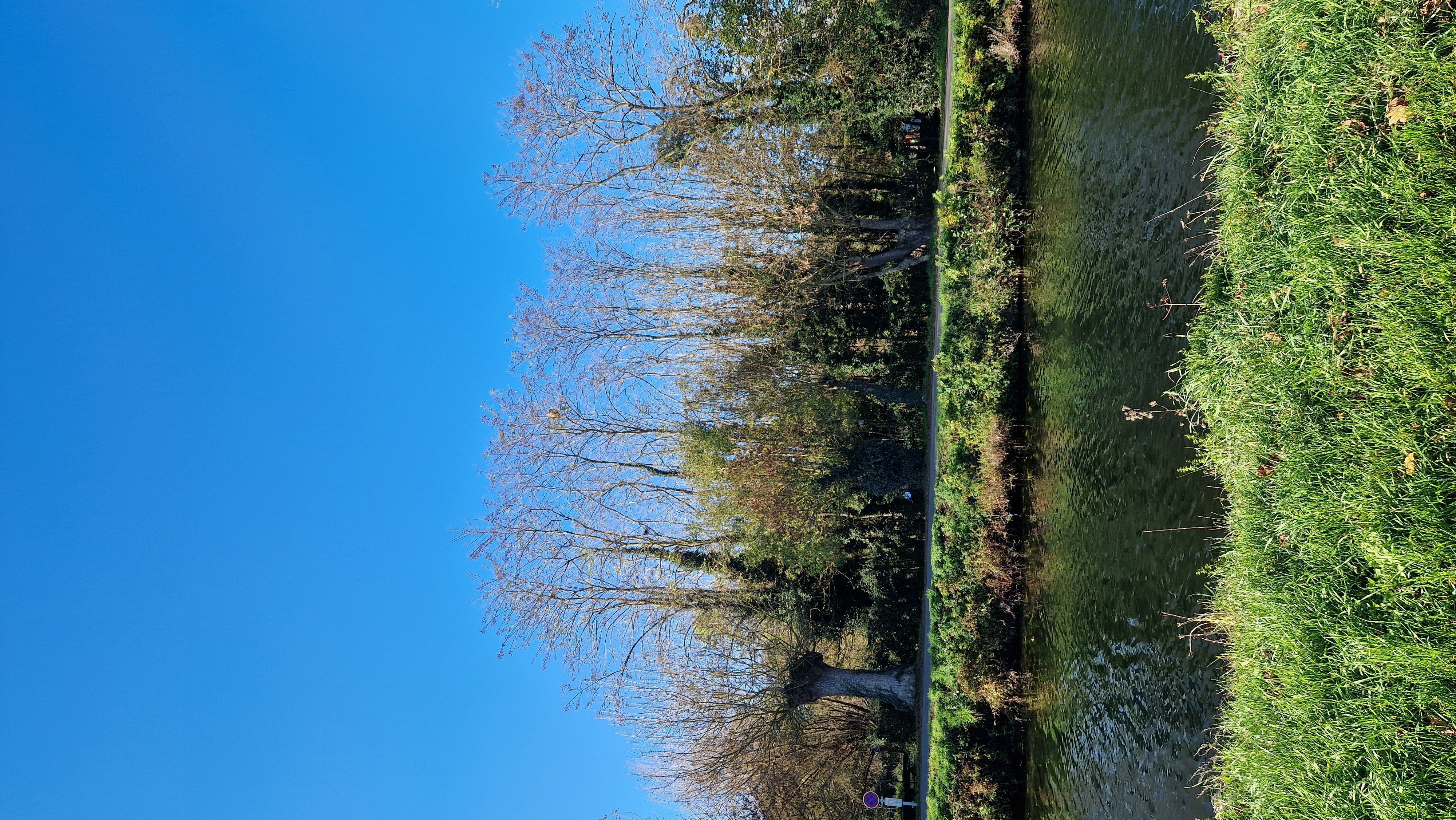 Photo du signalement #548