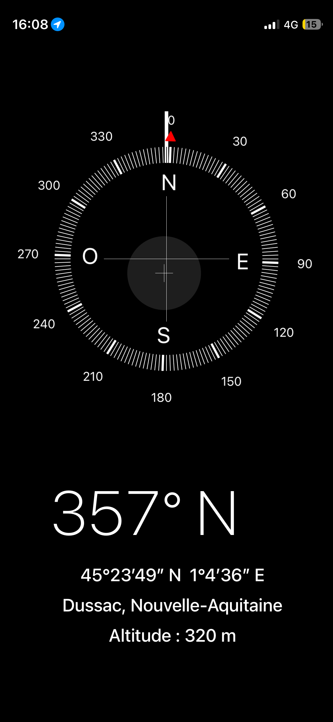 Photo du nid de frelon asiatique signalé à Dussac