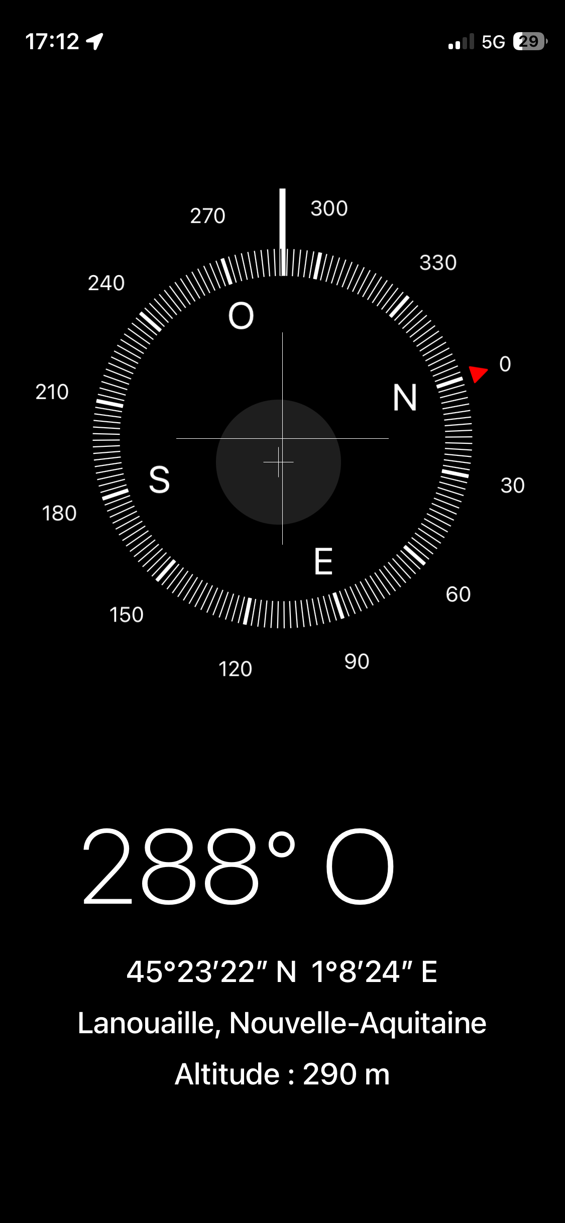 Photo du nid de frelon asiatique signalé à Lanouaille