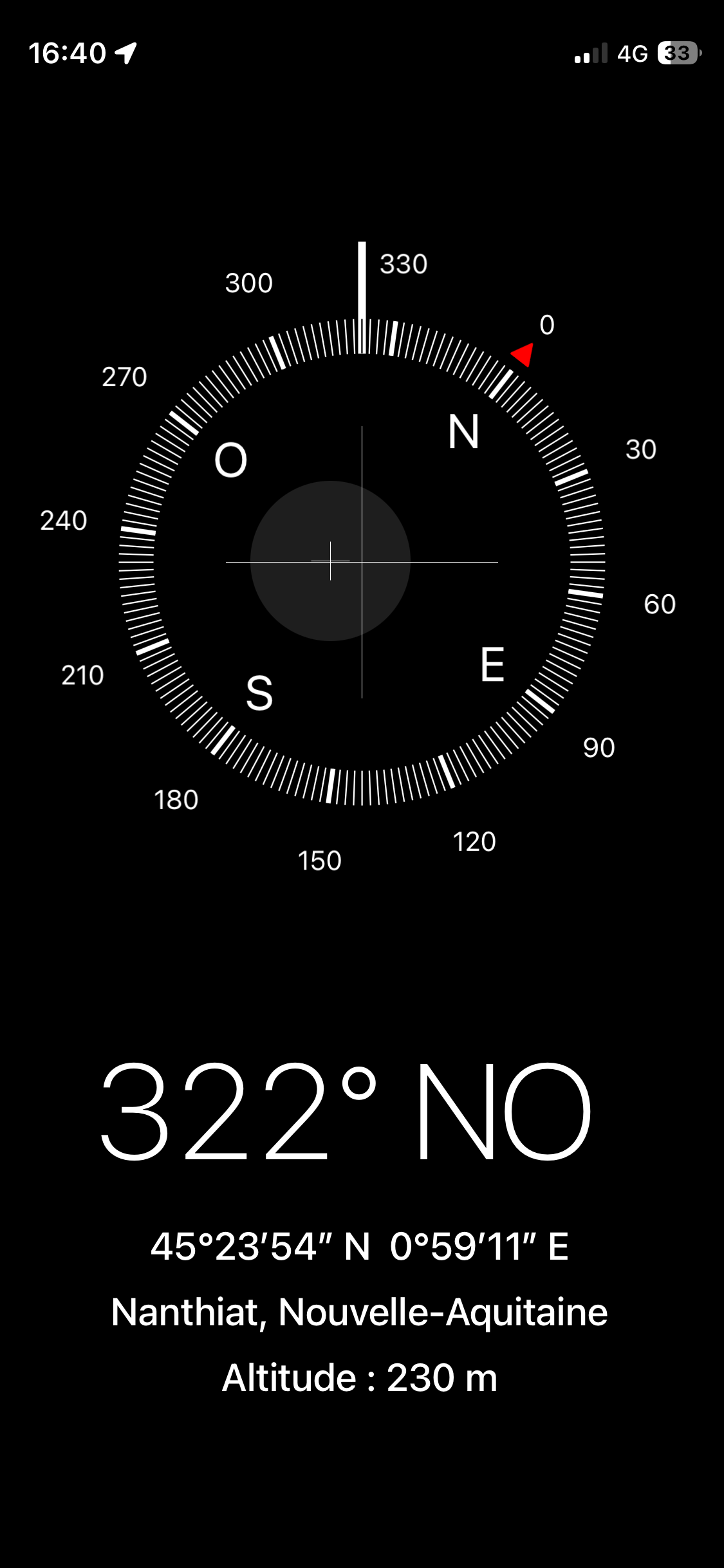 Photo du nid de frelon asiatique signalé à Nanthiat