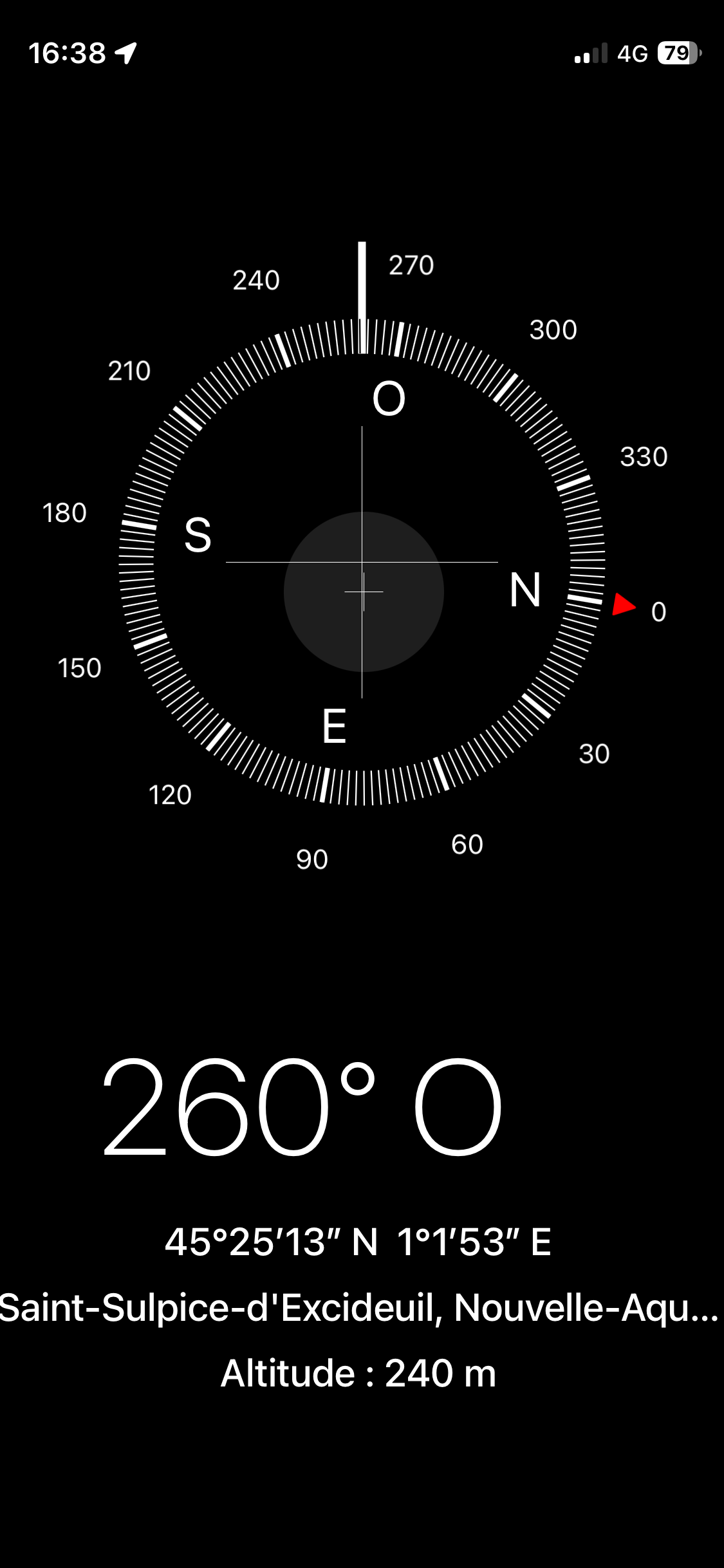 Photo du nid de frelon asiatique signalé à Saint-Sulpice-d'Excideuil