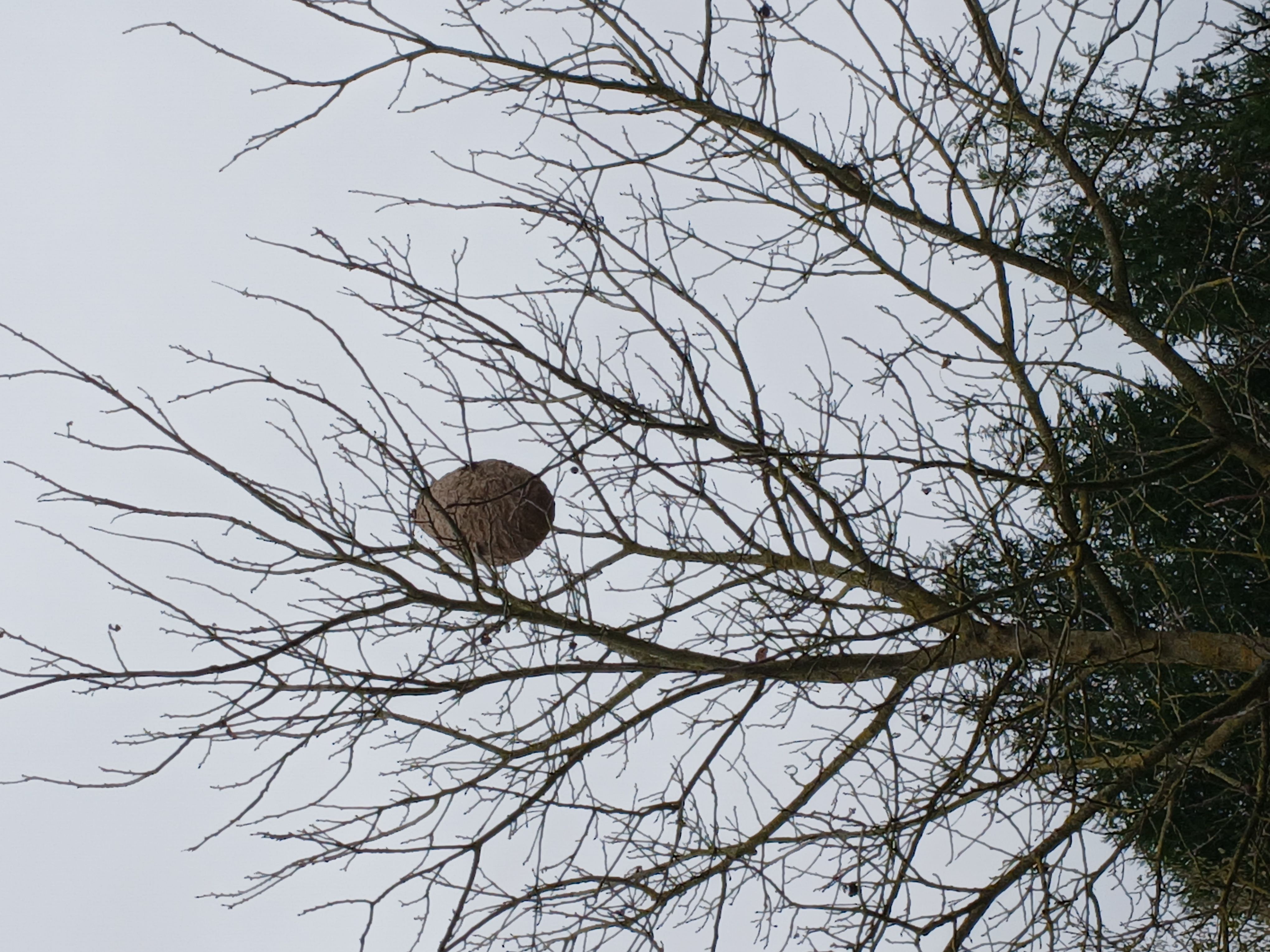 Photo du signalement #564