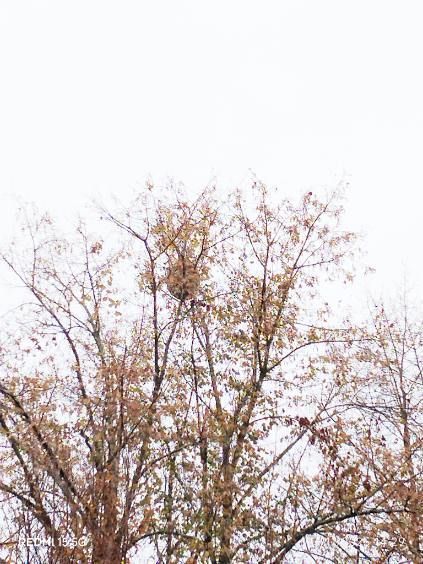 Photo du signalement #567