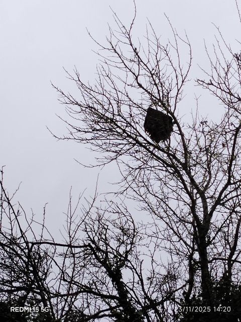 Photo du signalement #568