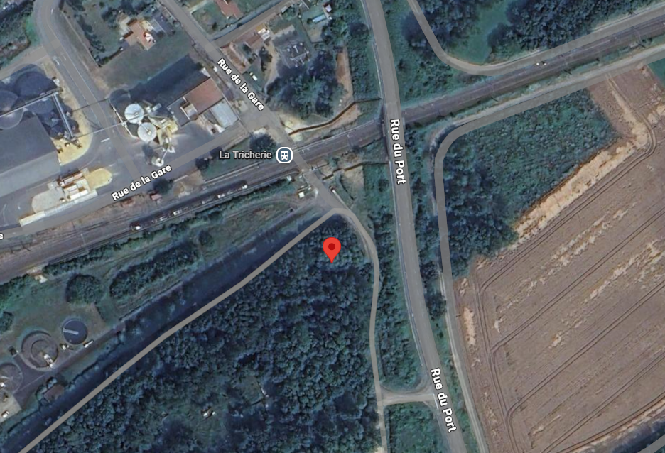 Photo du nid de frelon asiatique signalé à Beaumont Saint-Cyr