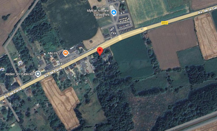 Photo du nid de frelon asiatique signalé à Beaumont Saint-Cyr