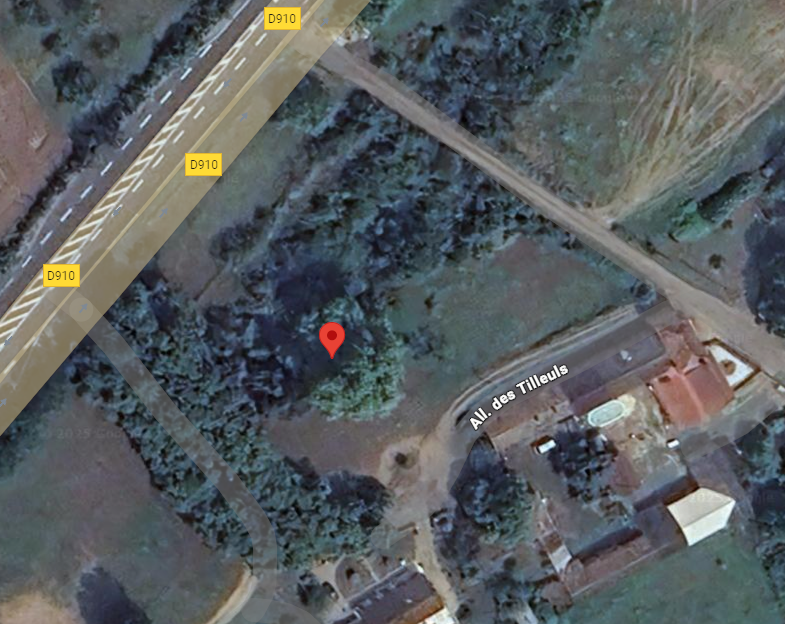 Photo du nid de frelon asiatique signalé à Beaumont Saint-Cyr