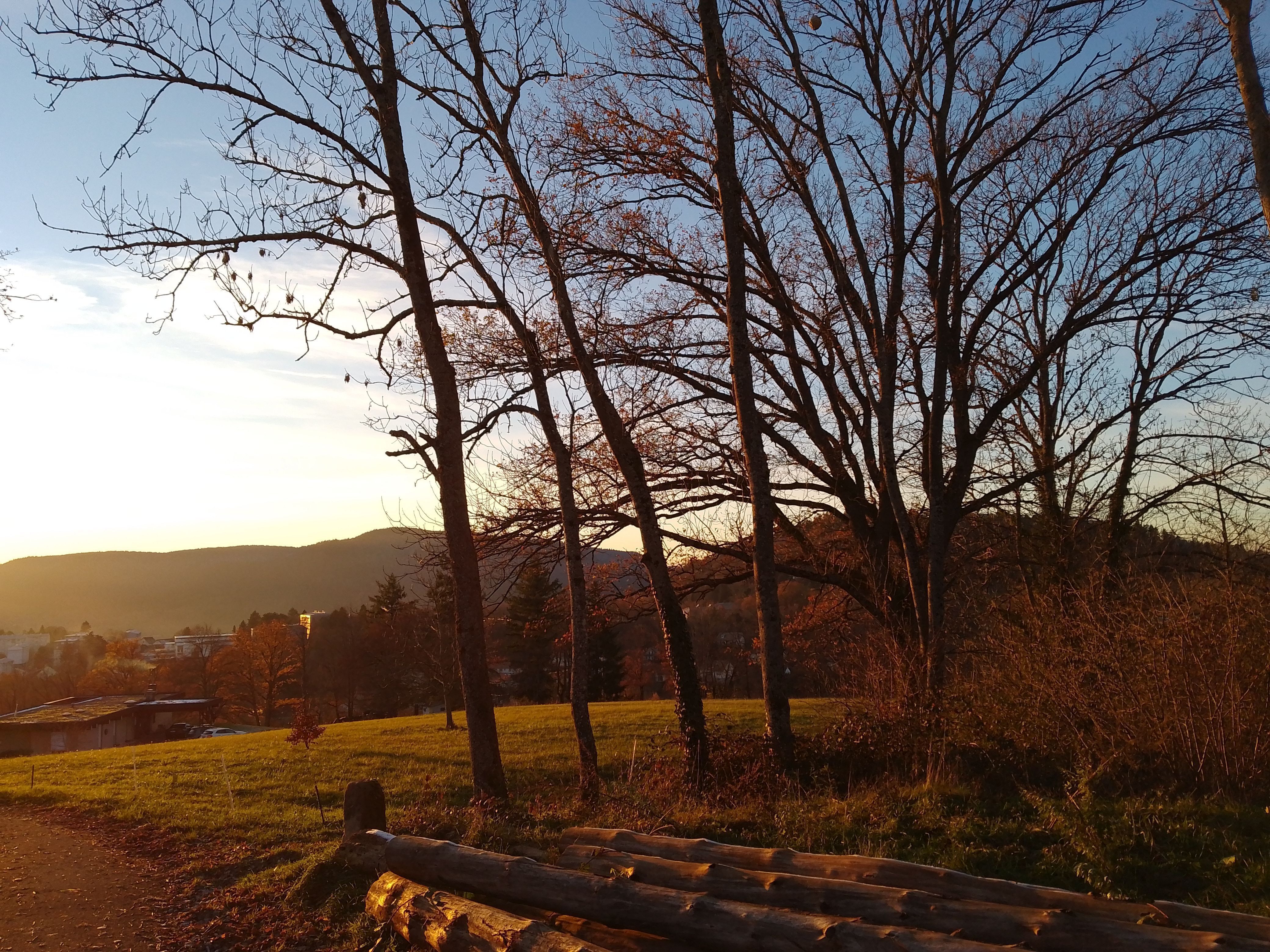 Photo du autre signalé à Saint-Dié-des-Vosges