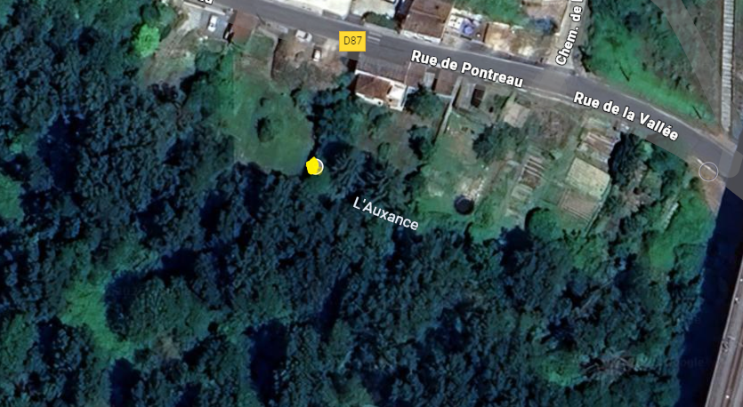 Photo du nid de frelon asiatique signalé à Migné-Auxances