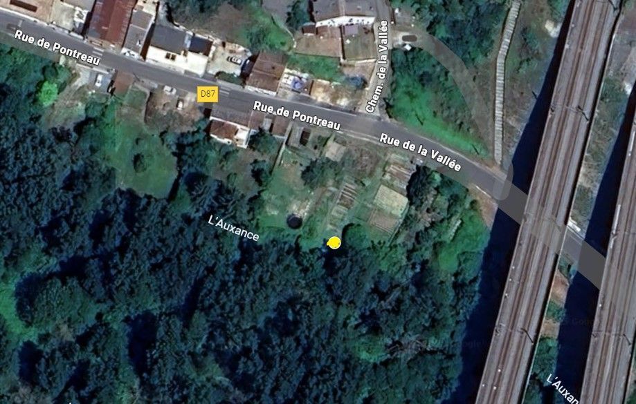 Photo du nid de frelon asiatique signalé à Migné-Auxances