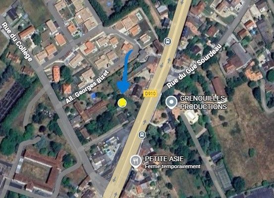 Photo du nid de frelon asiatique signalé à Chasseneuil-du-Poitou