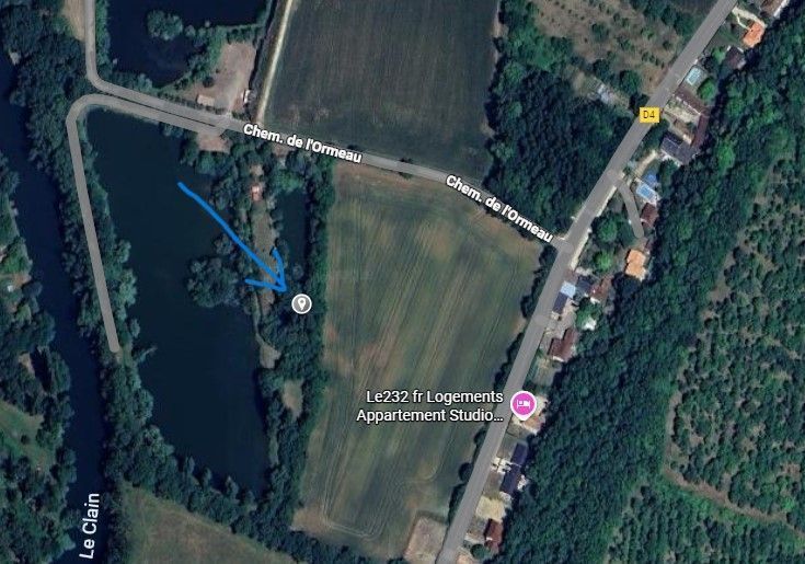 Photo du nid de frelon asiatique signalé à Chasseneuil-du-Poitou