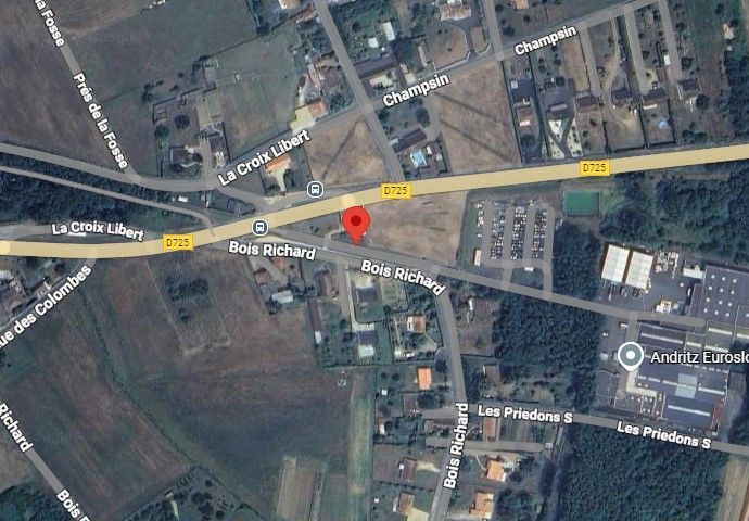 Photo du nid de frelon asiatique signalé à Scorbé-Clairvaux