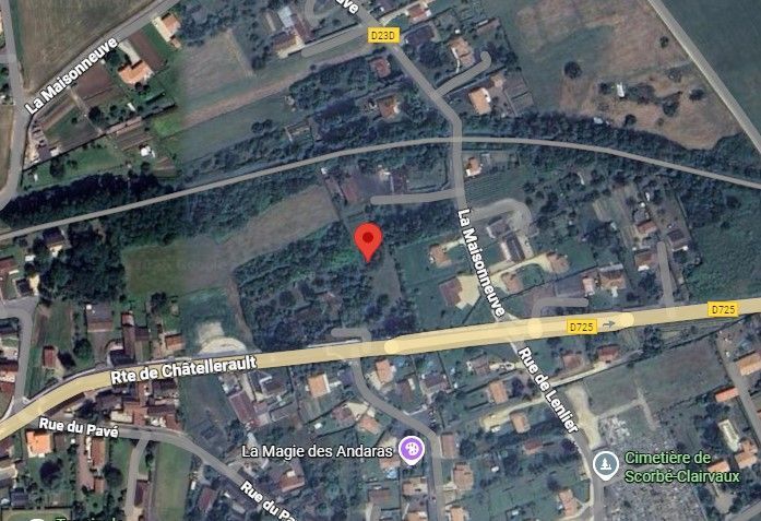 Photo du nid de frelon asiatique signalé à Scorbé-Clairvaux