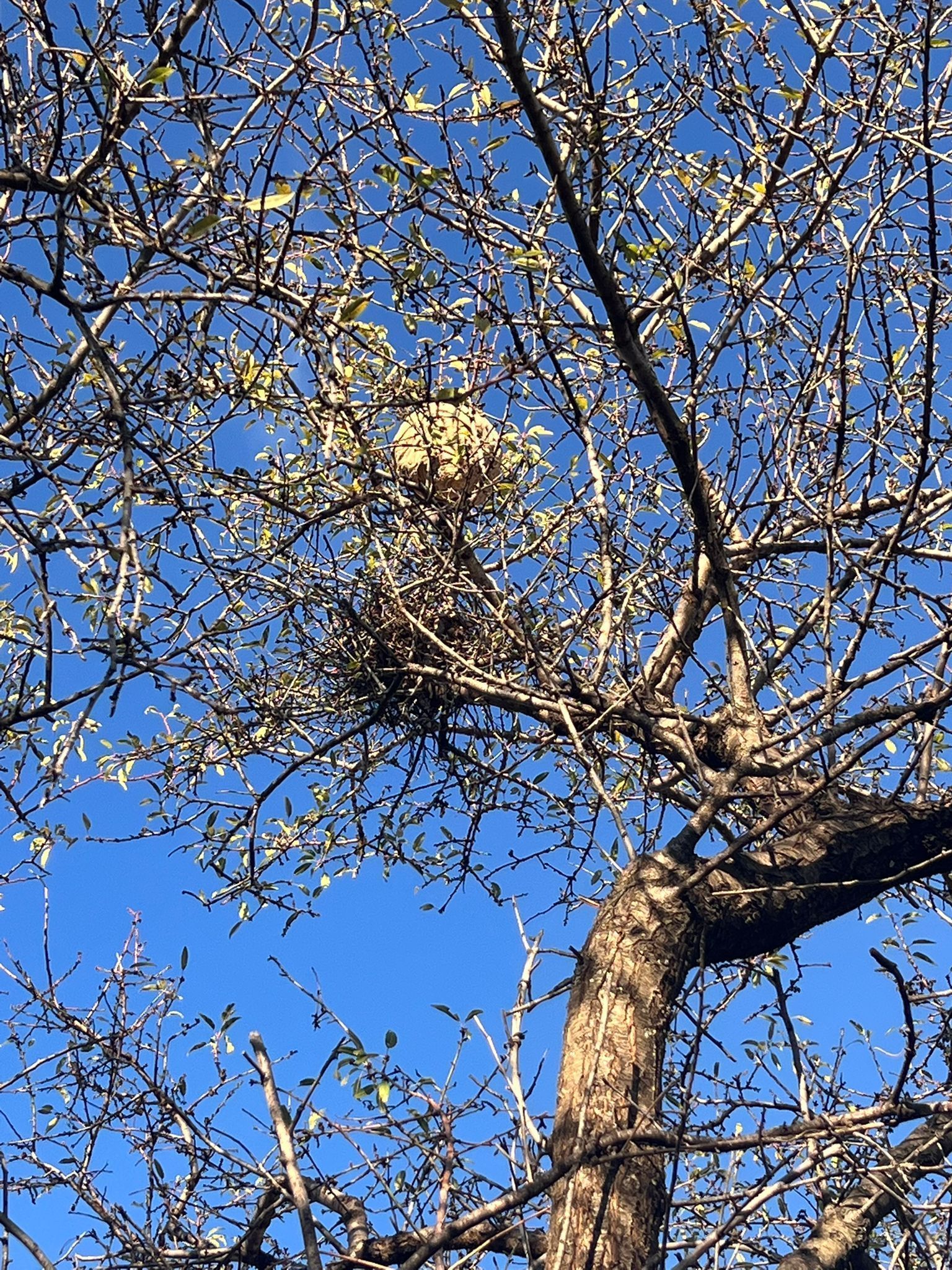 Photo du signalement #591