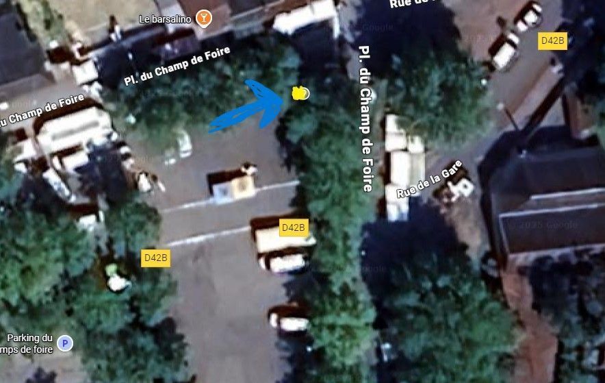 Photo du nid de frelon asiatique signalé à Lencloître