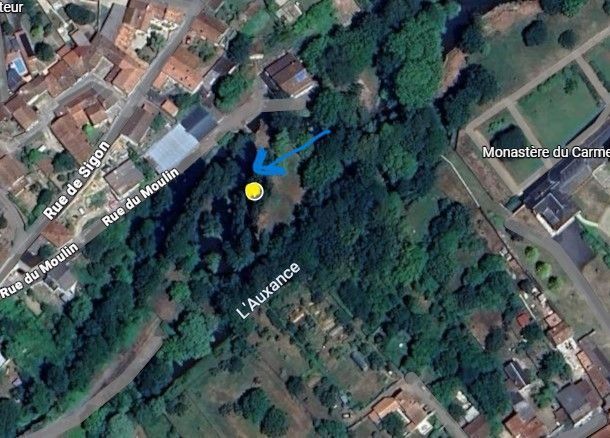 Photo du nid de frelon asiatique signalé à Migné-Auxances