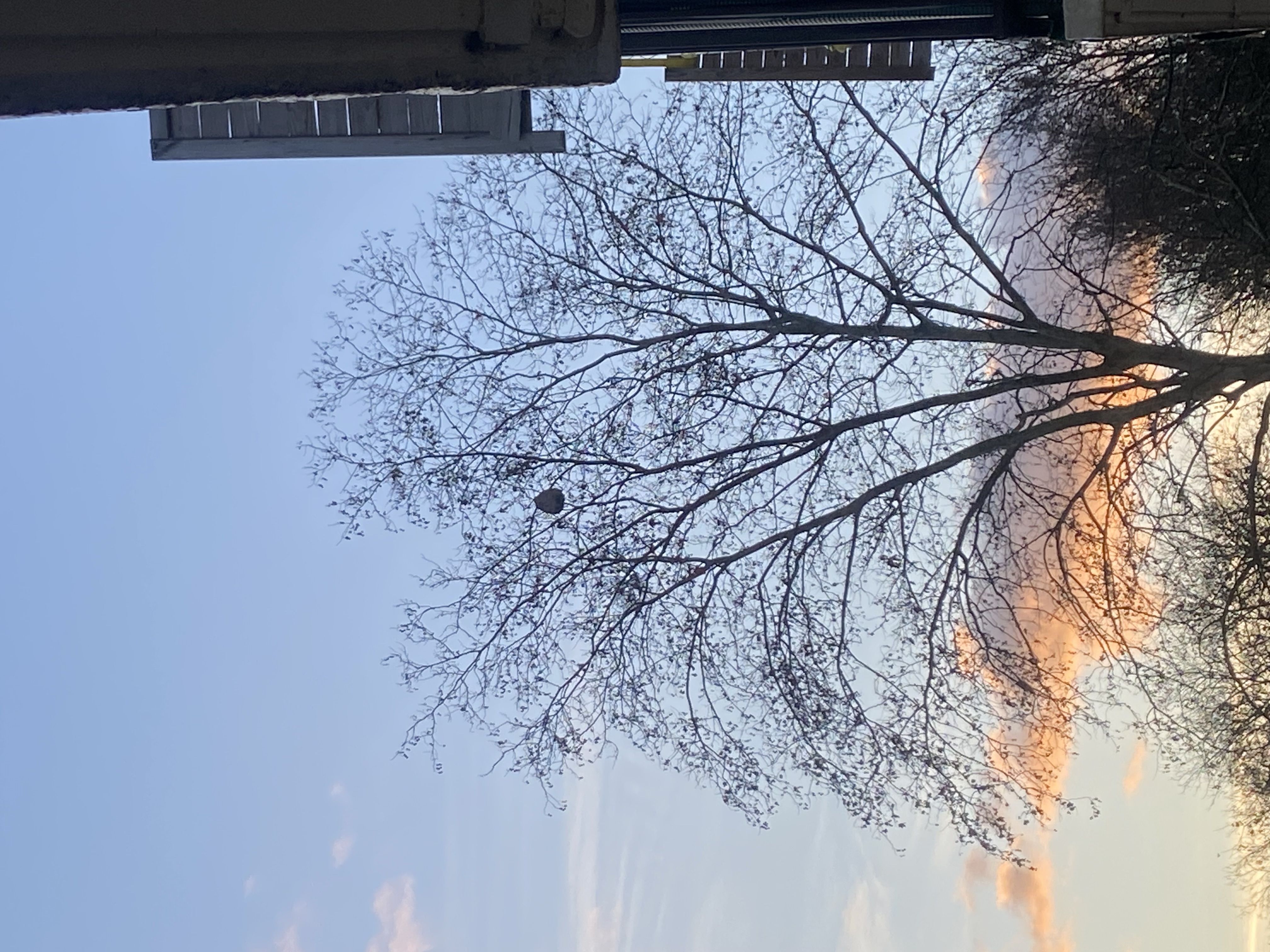 Photo du signalement #614