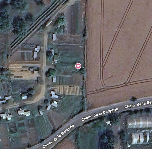 Photo du nid de frelon asiatique signalé à Châtellerault