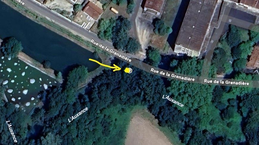 Photo du nid de frelon asiatique signalé à Chasseneuil-du-Poitou