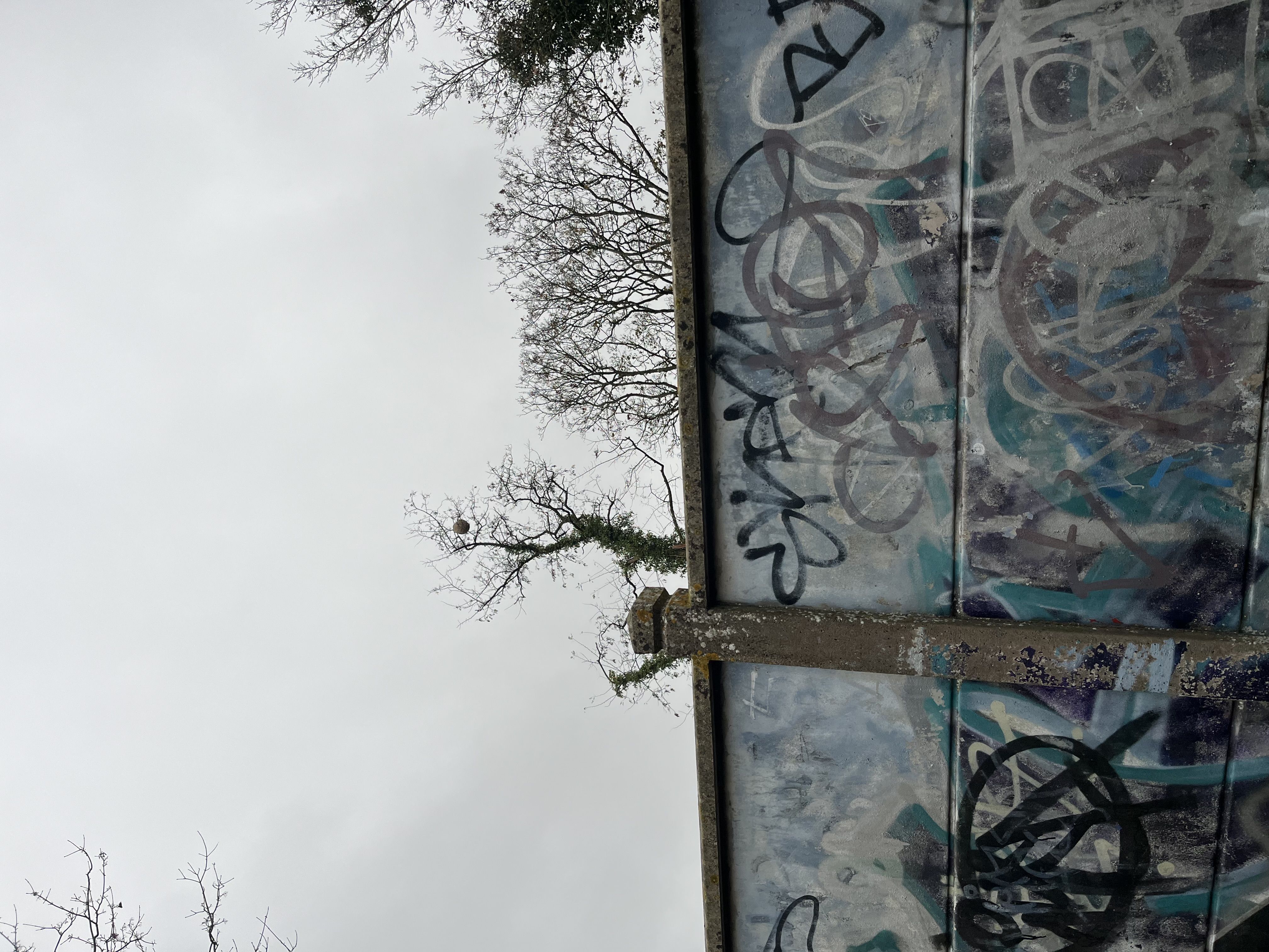 Photo du signalement #620