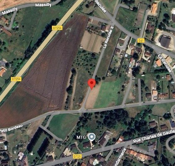 Photo du nid de frelon asiatique signalé à Doussay