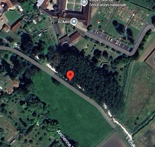 Photo du nid de frelon asiatique signalé à Lencloître