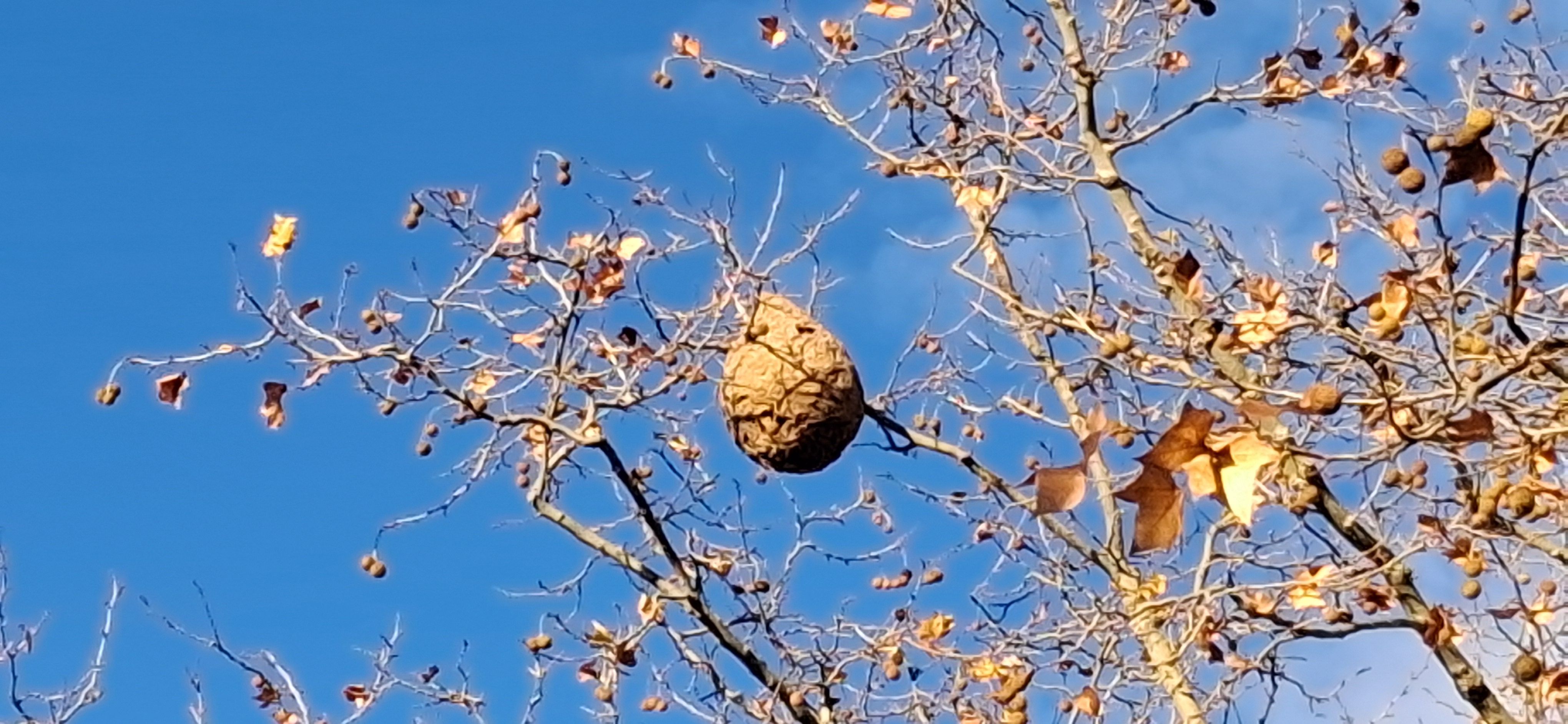 Photo du signalement #643