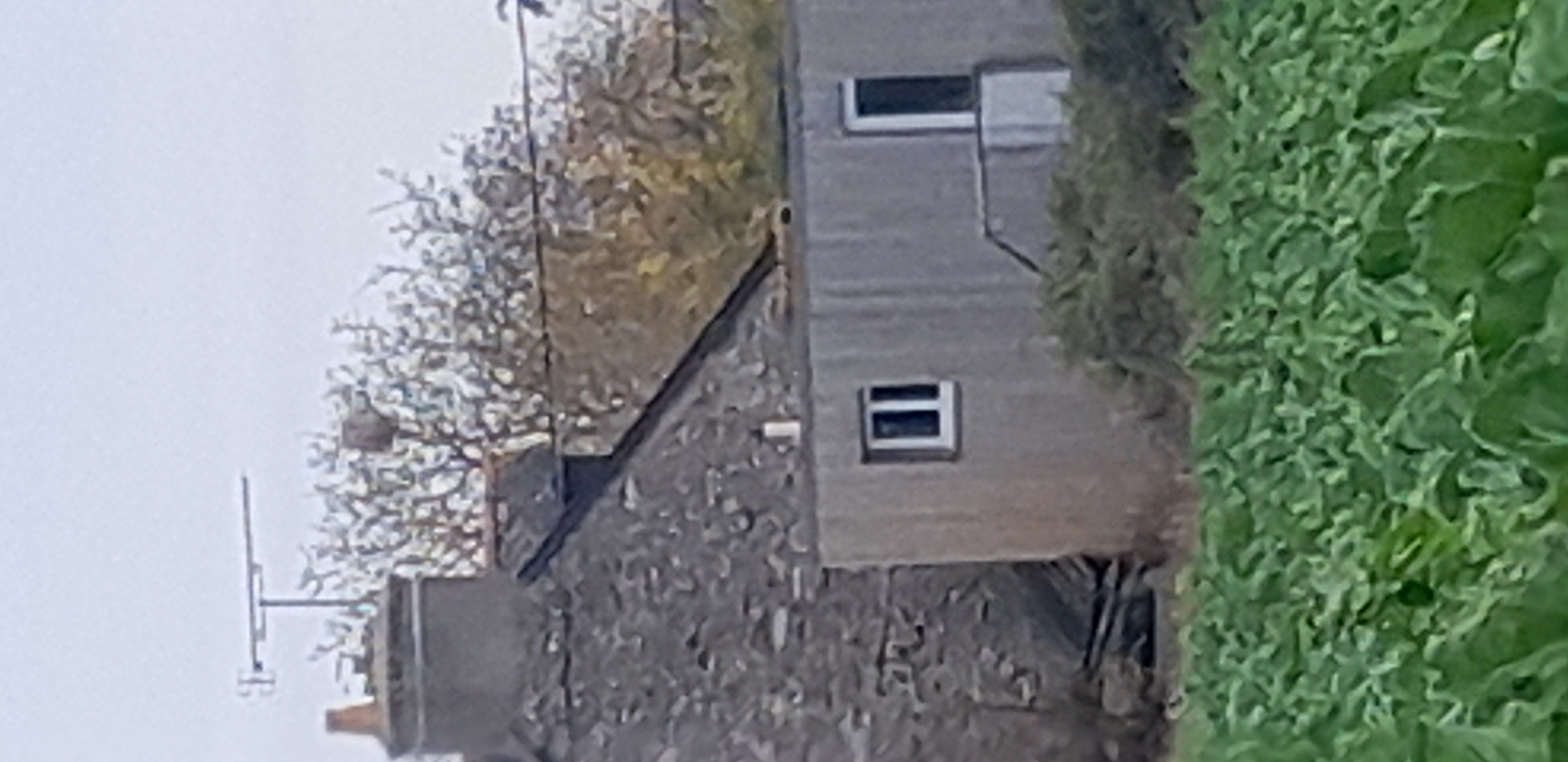 Photo du signalement #652