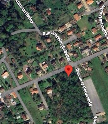 Photo du nid de frelon asiatique signalé à Châtellerault