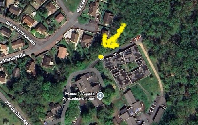 Photo du nid de frelon asiatique signalé à Châtellerault