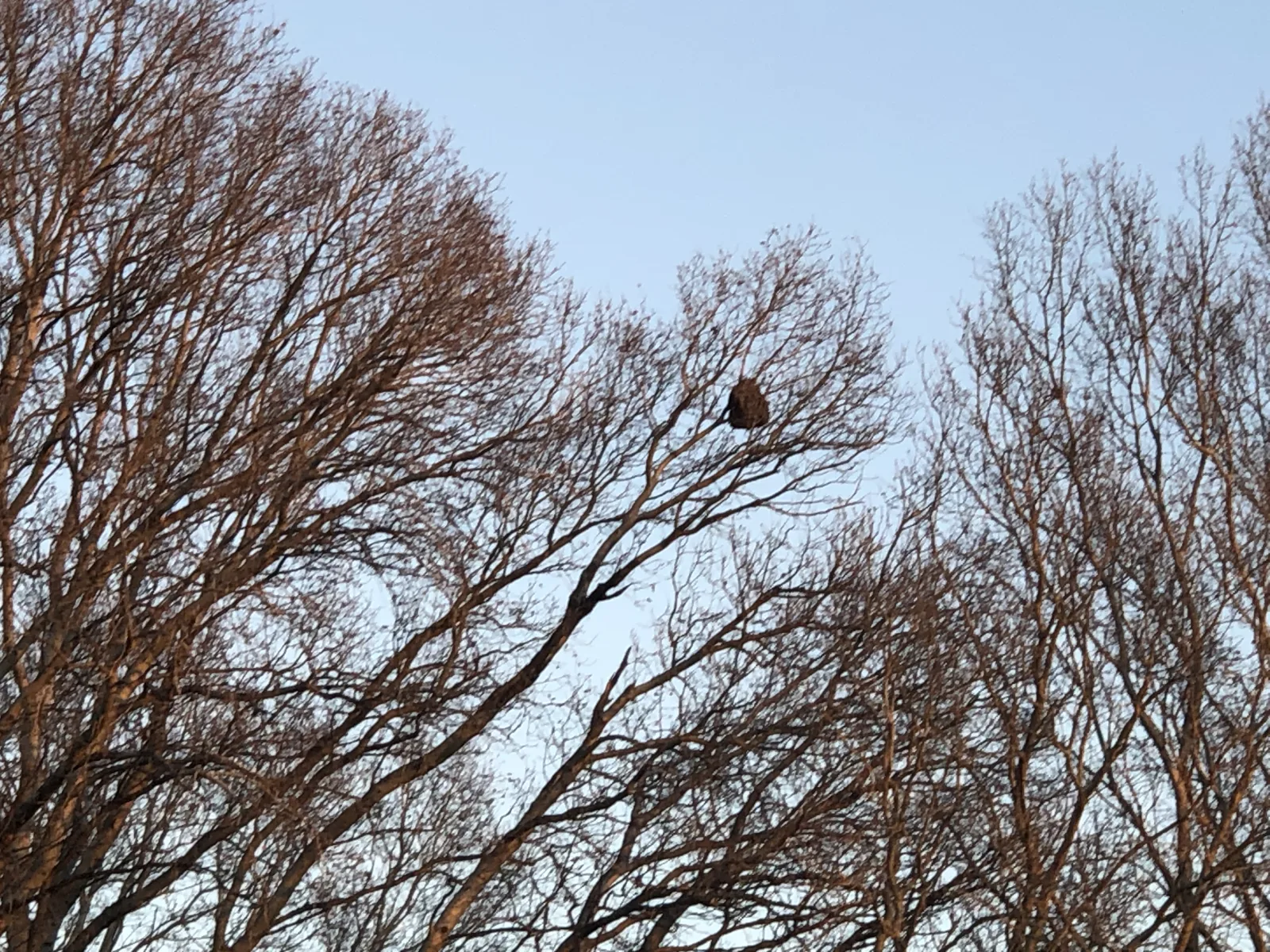 Photo du autre signalé à Arles