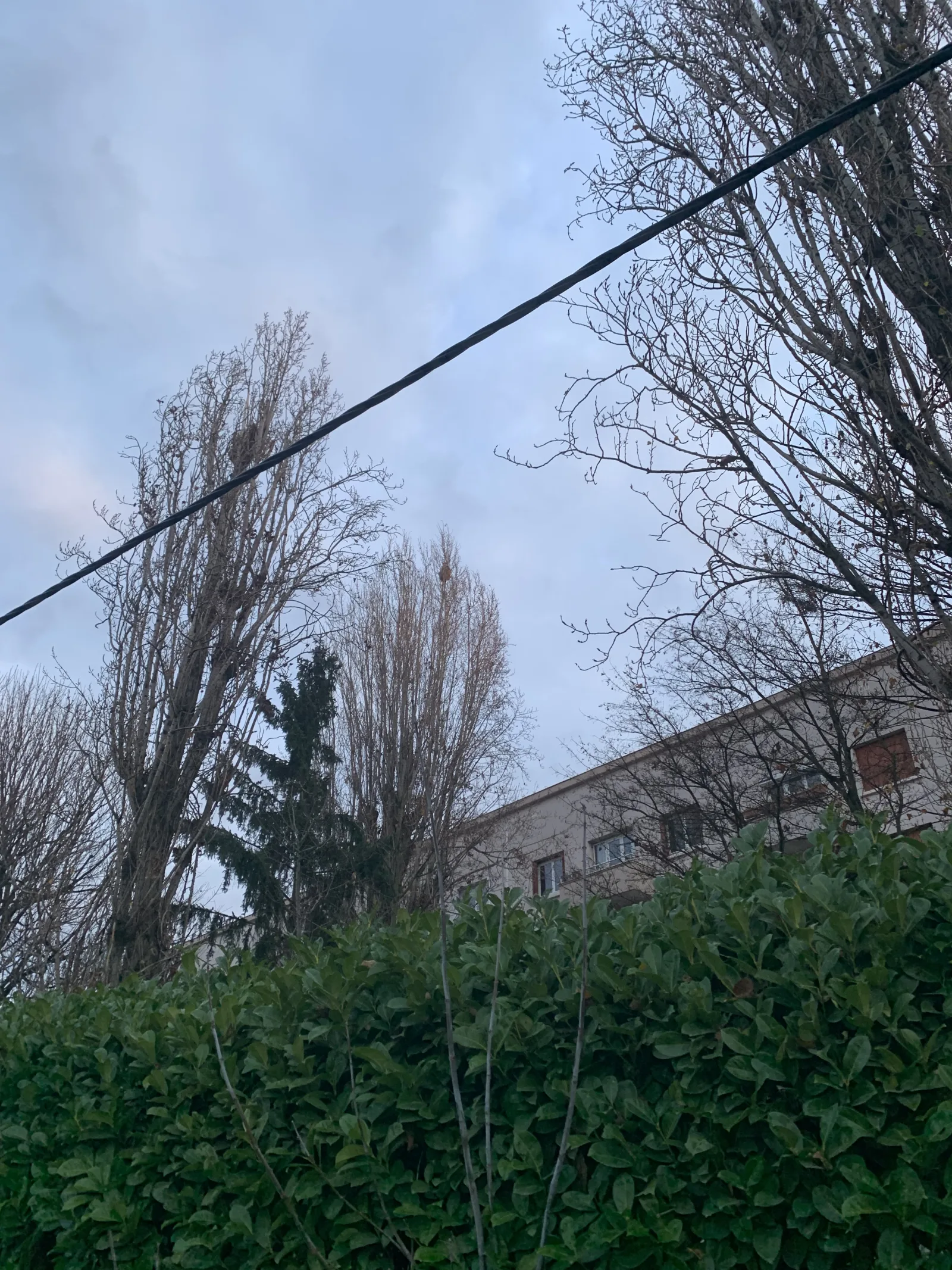 Photo du signalement #741