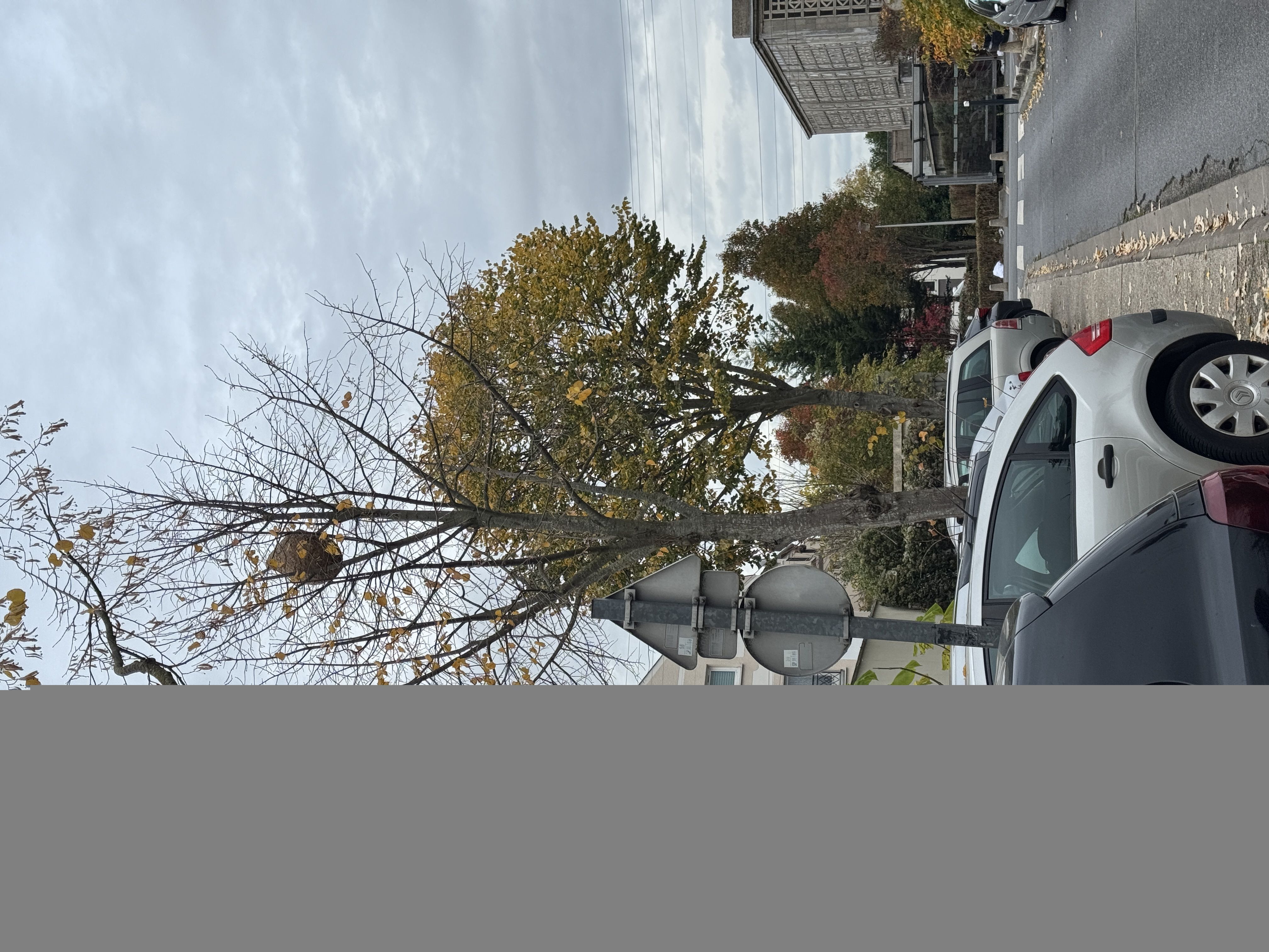 Photo du signalement #96