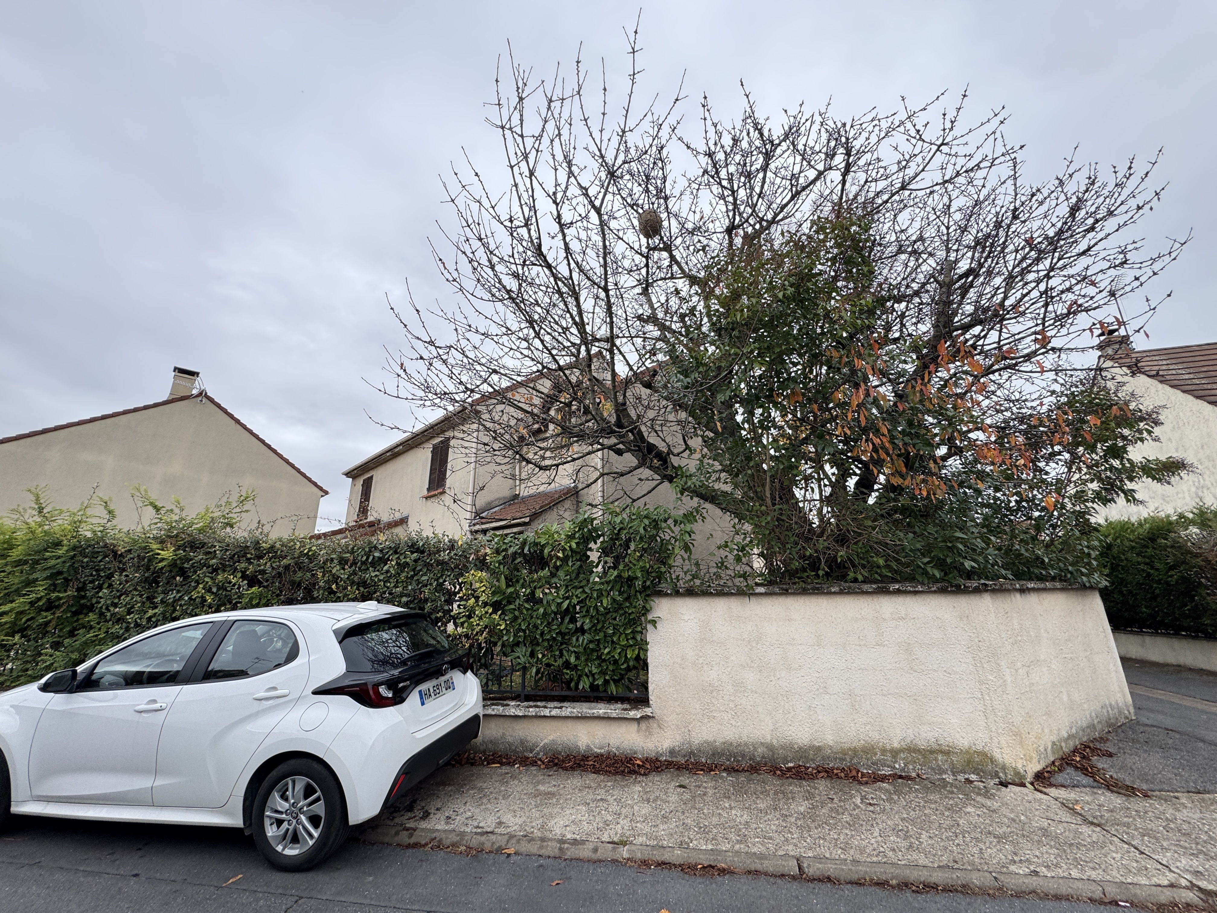 Photo du signalement #97