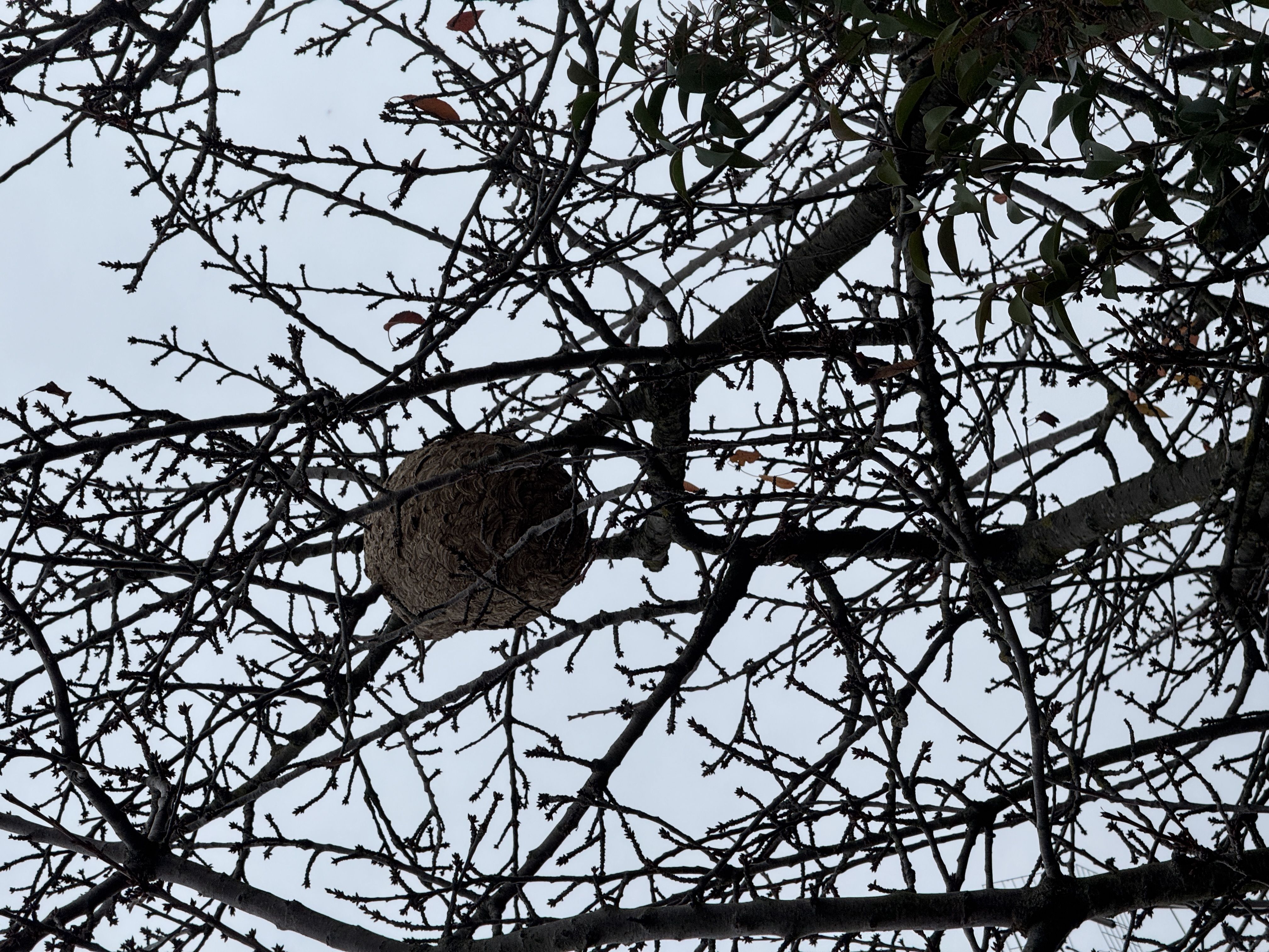 Photo du signalement #97