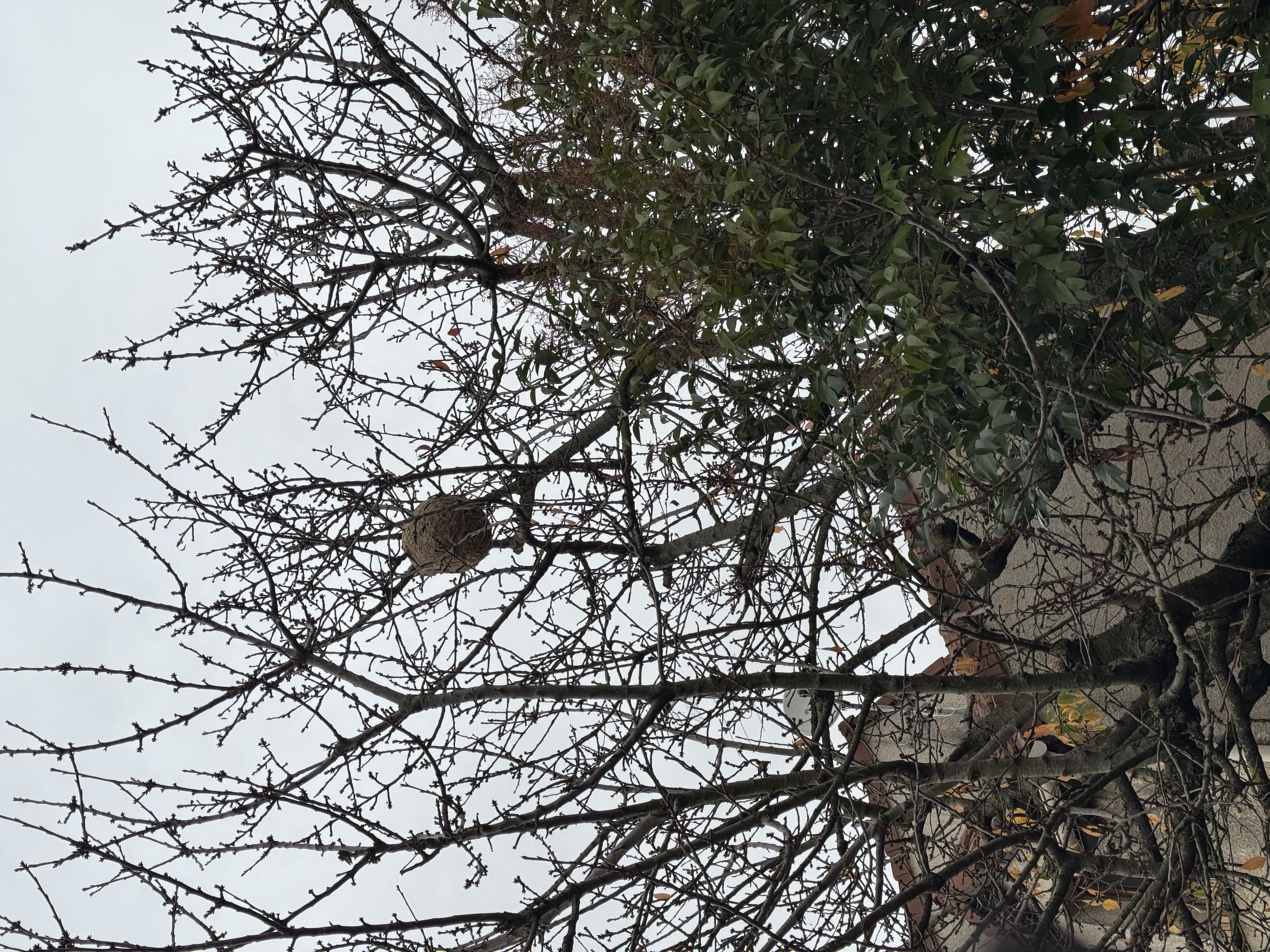 Photo du signalement #97